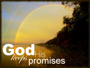 promises